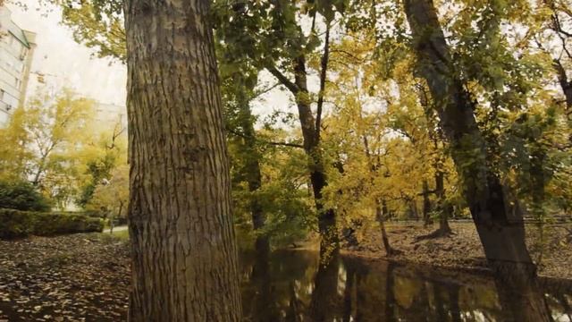 Тест самодельного слайдера + Canon 60d // DIY Camera Slider Test video смотреть онлайн