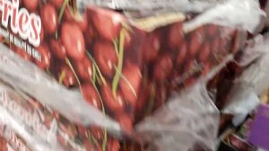 Покупки в Костко | COSTCO vs Business Center Costco ?