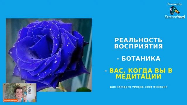 1 УРОК в Школе ОМ. Что такое Высшее Божественное Я.