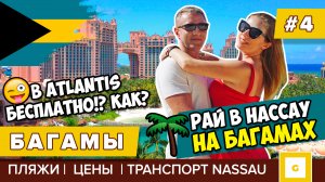 #4 РАЙ НА БАГАМАХ НАССАУ БЕСПЛАТНО В ОТЕЛЬ АТЛАНТИС ЦЕНЫ ЭКСКУРСИИ ATLANTIS BAHAMAS NASSAU 2020