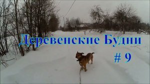 Деревенские будни #9 // Замело // Итоги инкубации