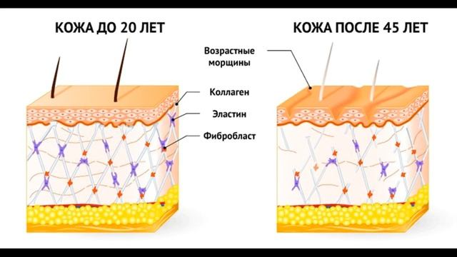 Мужчины против морщин! смотреть онлайн