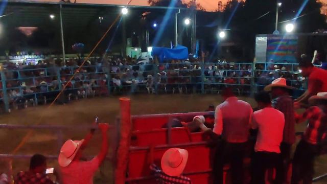 ‼️🔥 Jaripeo en Atrixco Guerrero México feria anual 2022 Adrián solano y su Banda Reyes de Oaxaca 🔥‼ смотреть онлайн