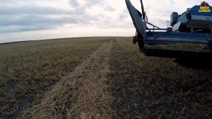 НАСТРОЙКА КОМБАЙНА ПОД ПРОСО. ВСЕ НЮАНСЫ УБОРКИ ПРОСА.