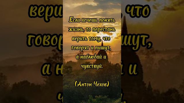 жизнь нужно чувствовать...#цитаты #цитатысосмыслом #мудрыеслова #