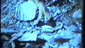 Канченжанга траверс 1989 года часть первая Kanchenzhanga1989