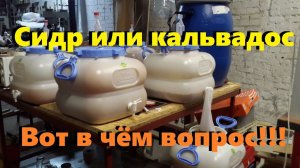 Яблочный сидр. Яблочная брага для самогона