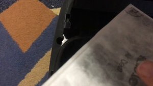 Обзор на пылесос Miele SBAD0 Classic C1