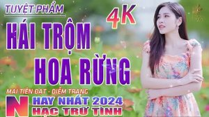 Hái Trộm Hoa Rừng, Hoa Nở Về Đêm? Nhạc Trữ Tình Hay Nhất 2023 - Lk Bolero Nhạc Vàng Xưa Bất Hủ