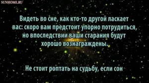 К чему снится Ласка, ласкать сонник, толкование сна