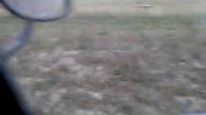 косим ботву картофеля КиРом 1.5