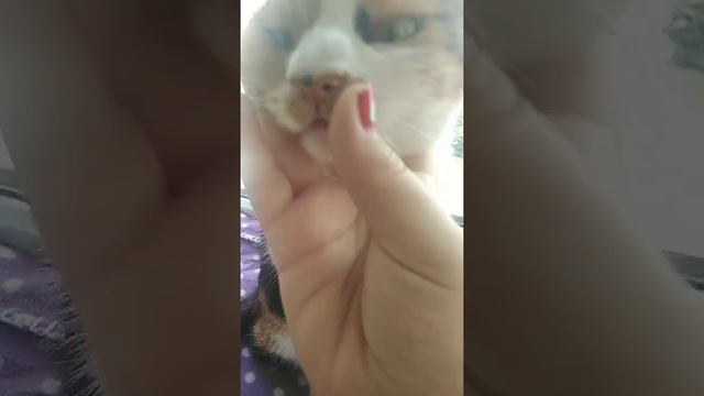 пришло время вас познакомить смотреть онлайн