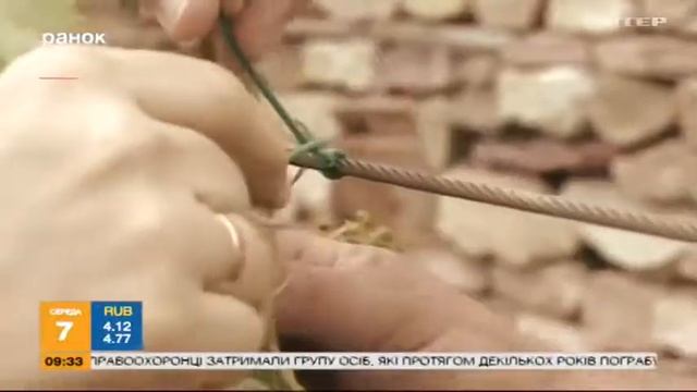 Садовые советы - формируем молодые деревья смотреть онлайн