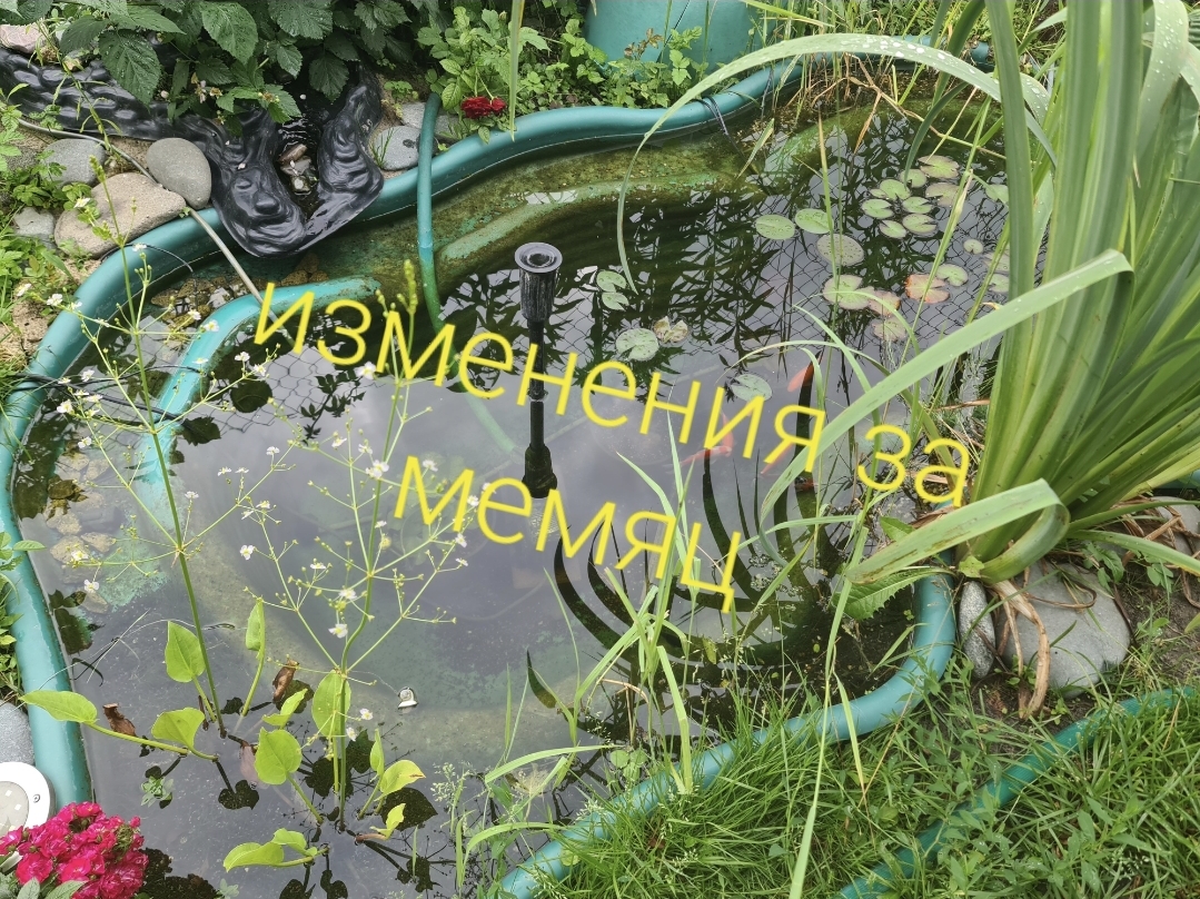 Изменения за месяц смотреть онлайн