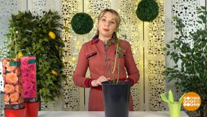 Розы: ставим на паузу. Доброе утро. Суббота. Фрагмент выпуска от 13.03.2021