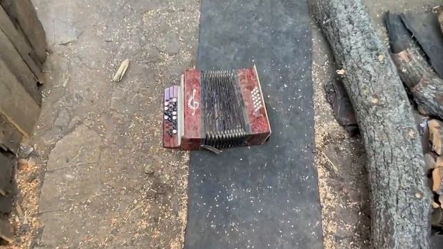 STAS ASKET База Кормит