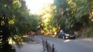 Сочи. Отдых в Сочи. Санаторий Светлана. Сочи центральный район.