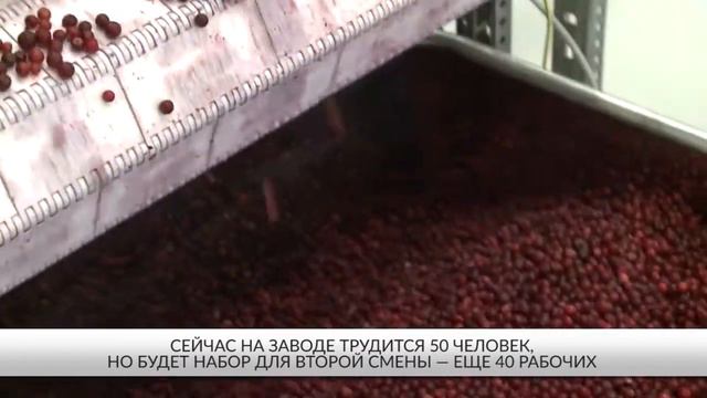 ООО «Карельский продукт» смотреть онлайн