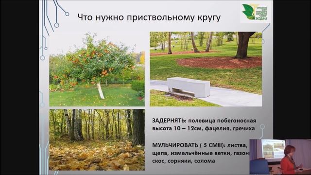 Как вырастить ЭКОСАД смотреть онлайн