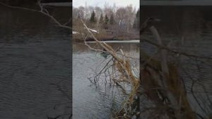 Лодка с мотором от тримера