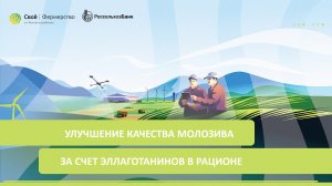 Улучшение качества молозива за счет эллаготанинов в рационе