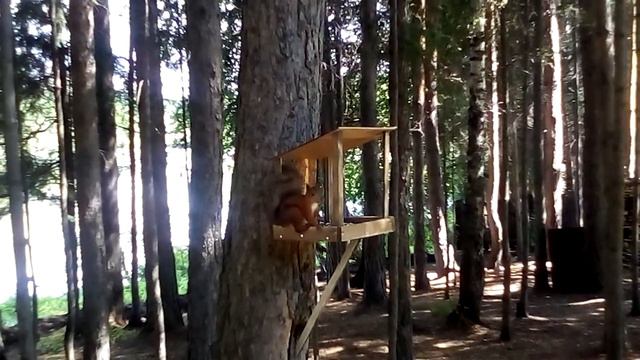 Дача смотреть онлайн