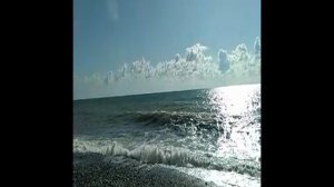 VID-20230331-WA0015.mp4