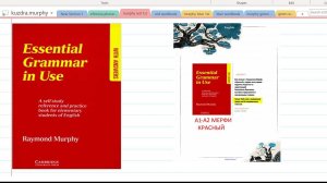0. Murphy Essential Grammar in Use. Обзор
