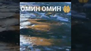 Дуо дар хаки мухочирон