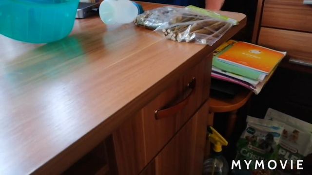 МНОГО ПОКУПОК В ZOO || ФАНЕ НЕ НРАВИТСЯ НОВОЕ КОЛЕСО