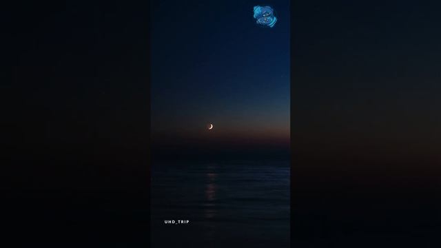 Moonset over the sea. August, 2023.  #timelapse #sea #сочи #night #short