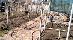 Используем солнечную энергию.Запускаю солнечный водонагреватель.150л.горячей воды каждый день!