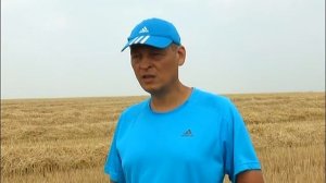 Тонны убранного зерна в элеваторе и на складах