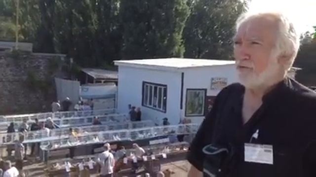 25 августа на ипподроме в городе Киеве, состоялся фестиваль, голубей, декоративных птиц и кроликов. смотреть онлайн