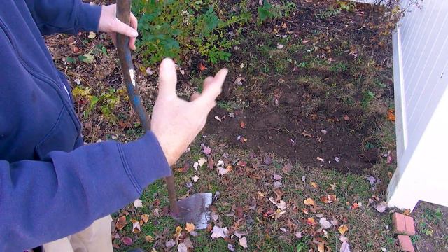 HOW TO PRUNE GROUNDCOVERS - TOO MUCH MULCH! - LANDSCAPING ESSENTIAL TOOLS смотреть онлайн