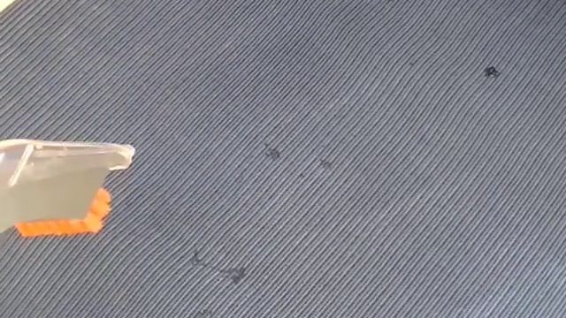 Vax Rapide Ultra 2 Carpet Washer Cleaning Tools Demonstration смотреть онлайн