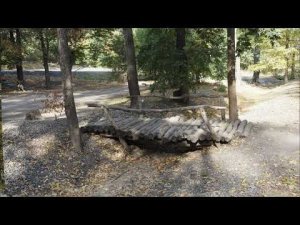 Солнечный осенний день, Воронежский центральный парк, 6 октября 2020 г