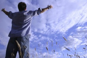 Прерву дней серых череду