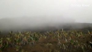 НЕВЕСТКА ХОТЕЛА ОТ СВЁКРА ТОЛЬКО ОДНОГО! Интересные истории из жизни. Рассказы о любви.