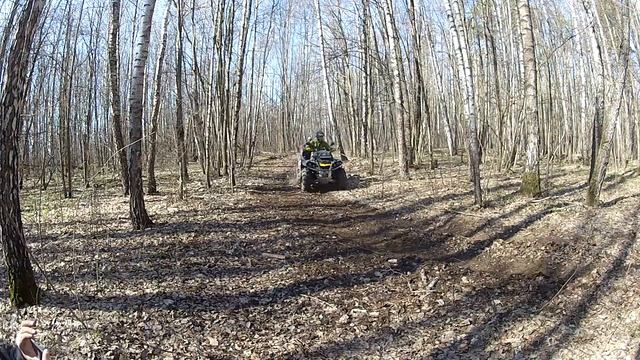 Лесные дорожки, весна смотреть онлайн