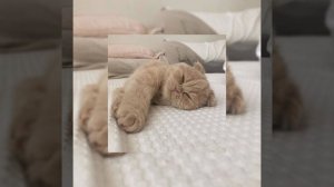 Песни чтобы танцевать утром и вечером