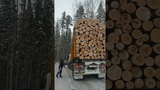 Жена дальнобойщика смотреть онлайн