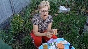 Правильное выращивание кабачков. Посеем Пожуем