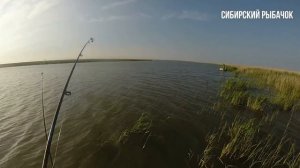 Ловля сазана I Сазан с лодки I озеро Чаны I рыбалка в Сибири