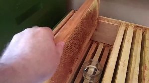 Храним пчелиную сушь.