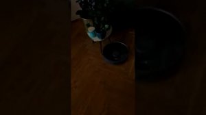 Dreame L 10 pro error