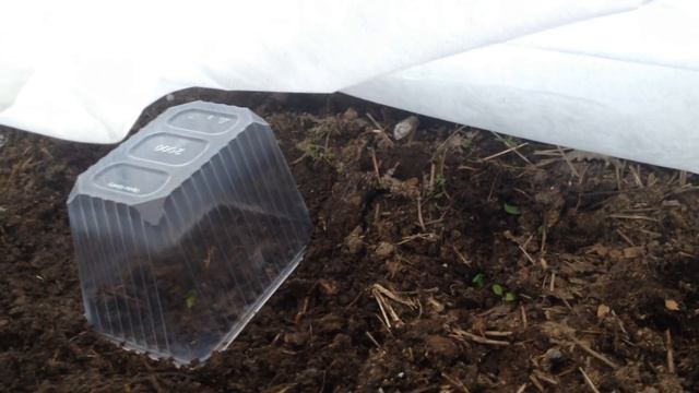 Шкаф купе для огурцов или 4 степени защиты от холода смотреть онлайн