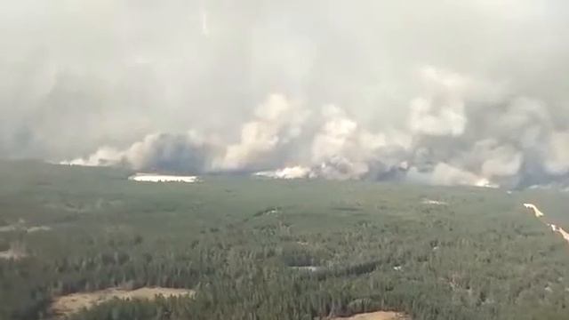 #Казахстан На севере страны в Костанайской области горят леса и поля с пшеницей. смотреть онлайн