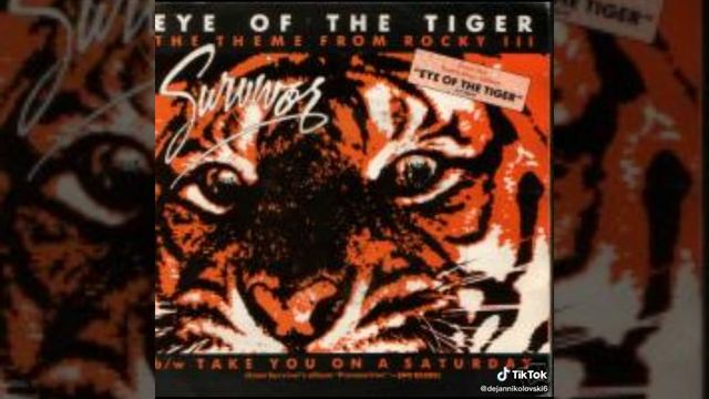 Survivor - Eye Of The Tiger Instrumental Cover (2023)