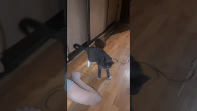 22 января 2024 г. смотреть онлайн